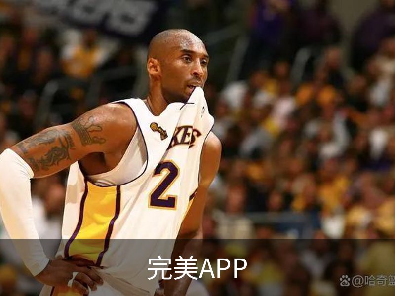 了解完美APP