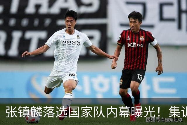 张镇麟落选国家队内幕曝光！集训前夕请假了：郭士强没有放弃他？